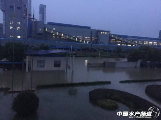 Heavy rains caused disasters in 26 provinces, with losses of 50.6 billion yuan, with aquaculture bearing the brunt